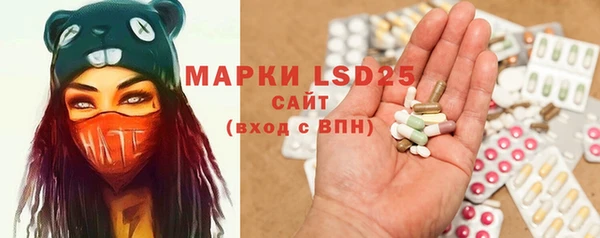 ешки Ельня