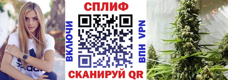 Конопля OG Kush  Петрозаводск 
